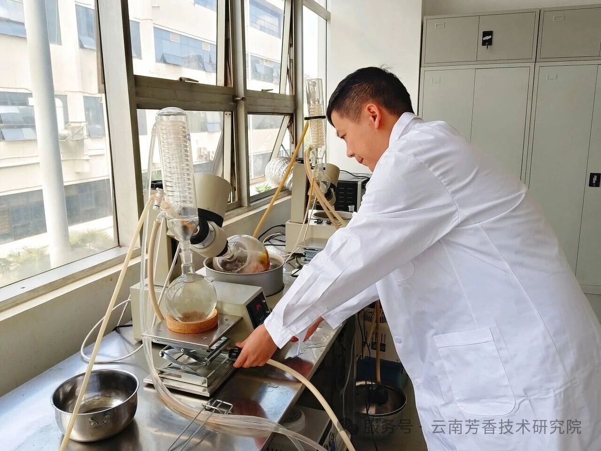 精油蒸馏研究