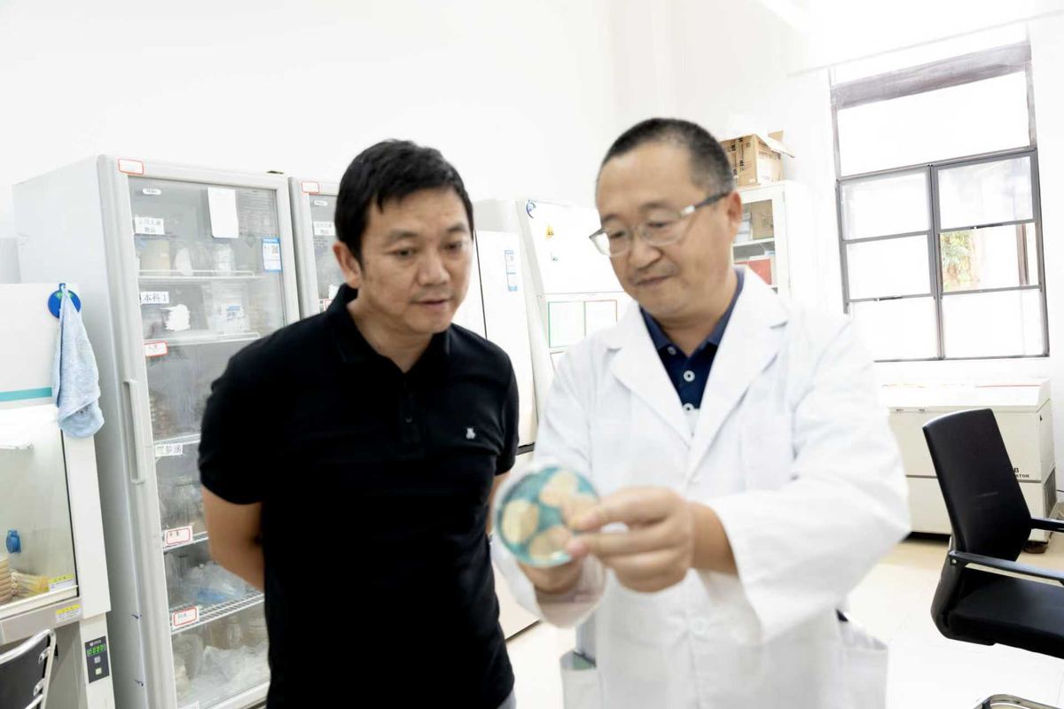 研究成果评审